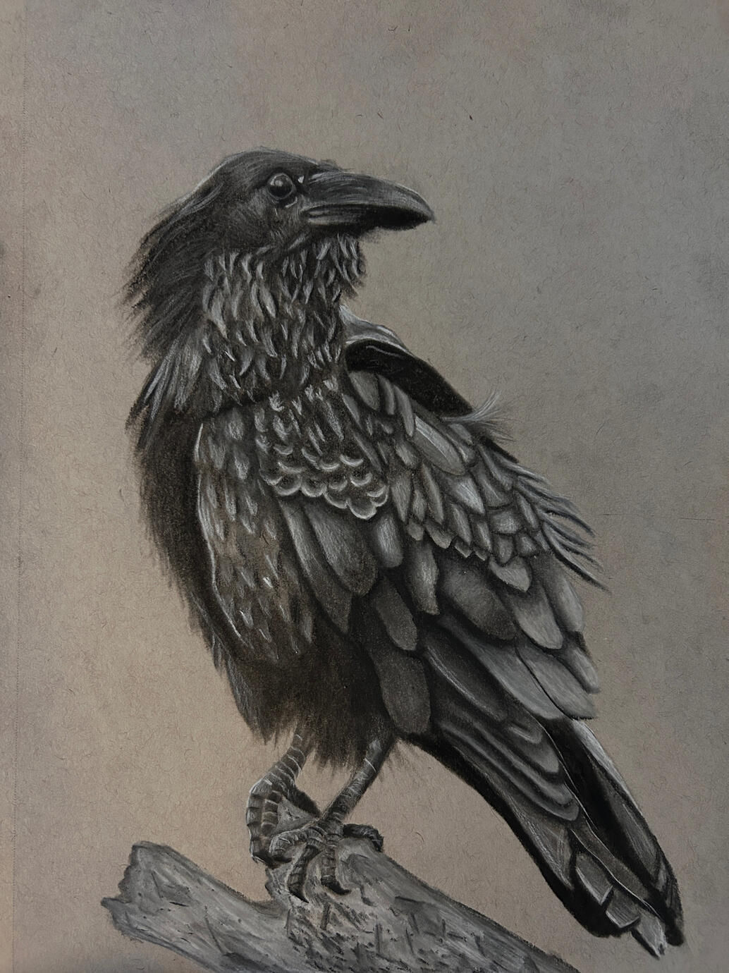Ravenpaws