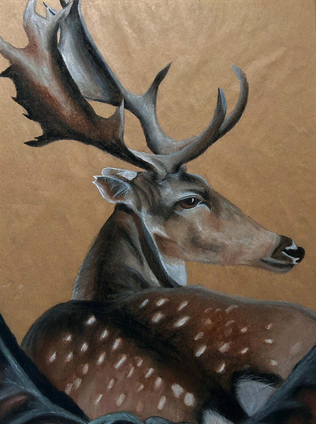 deer dreams